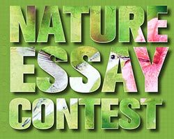 Nature essay logo