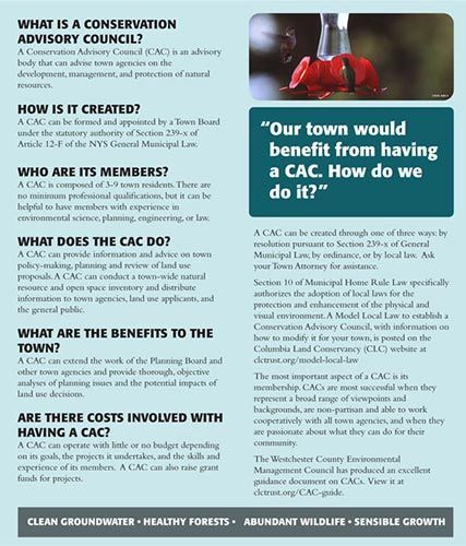 CAC brochure, first flip