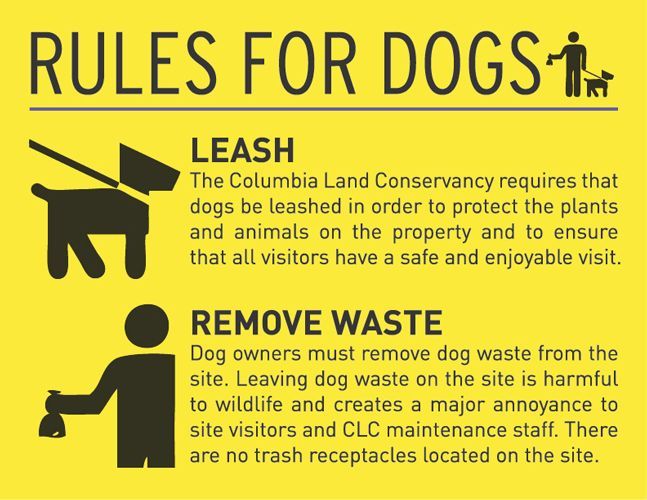 Rules for Dogs